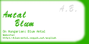 antal blum business card